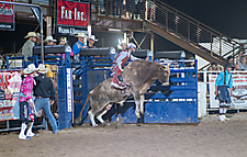 P3272344_1774970389_69cbe6152d70e