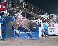 P3272346_1774970390_69cbe616324de