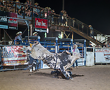 P3272378_1774970391_69cbe6179d13a