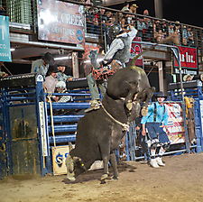 P3272389_1774970392_69cbe61865246