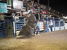 P3272390_1774970393_69cbe61906163