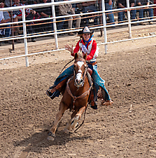 P3292447_1774970410_69cbe62ae7e7f