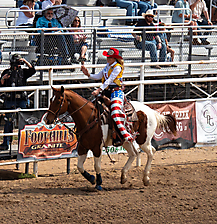 P3292452_1774970414_69cbe62e71f72