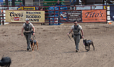 P3292477_1774970431_69cbe63f8ab34