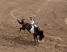 P3292555_1774970451_69cbe653102ec