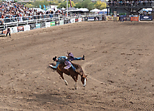 P3292610_1774970452_69cbe6548f540