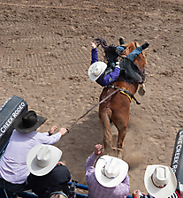 P3292621_1774970453_69cbe6559e83a