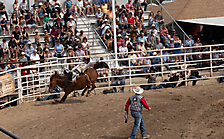 P3292653_1774970454_69cbe65676069