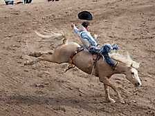 P3292703_1774970455_69cbe657812c0