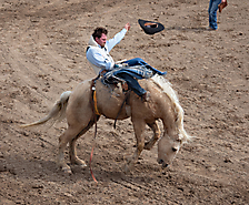 P3292706_1774970458_69cbe65a8822d