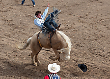 P3292711_1774970459_69cbe65b8f314