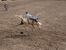 P3292720_1774970460_69cbe65caebcc