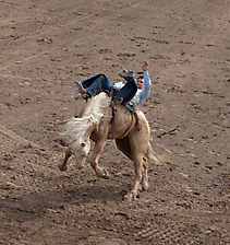 P3292725_1774970461_69cbe65dc2d92