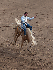 P3292729_1774970462_69cbe65e792a3