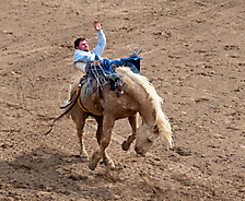 P3292741_1774970464_69cbe66000b22