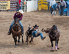 P3292775_1774970464_69cbe660781a6