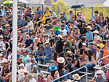 P3292795_1774970467_69cbe663298c8