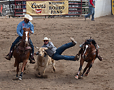 P3292801_1774970467_69cbe663d8fe4