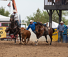 P3292827_1774970469_69cbe665c8b8c