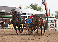 P3292833_1774970470_69cbe666a6b10