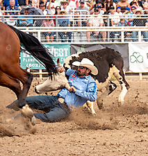 P3292876_1774970472_69cbe668899ad