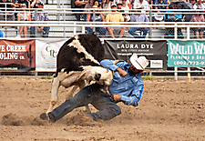 P3292880_1774970473_69cbe669808bb