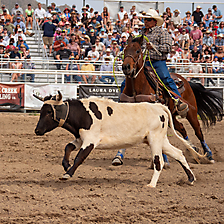 P3292980_1774970479_69cbe66f442f6