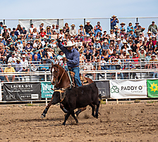 P3293021_1774970242_69cbe582728fc