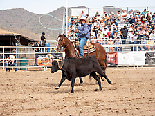 P3293026_1774970243_69cbe583672af