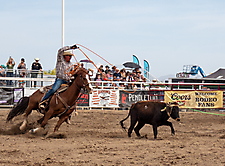 P3293038_1774970244_69cbe5845aa16