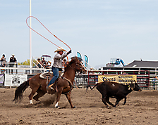 P3293041_1774970245_69cbe58584023