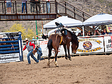 P3293059_1774970246_69cbe58684276