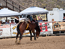 P3293066_1774970247_69cbe58716a52