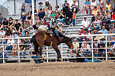 P3293076_1774970248_69cbe58817a4f