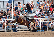 P3293077_1774970249_69cbe58905699