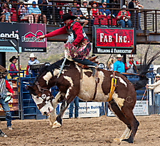 P3293125_1774970250_69cbe58a720e7