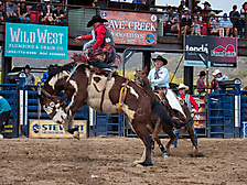 P3293127_1774970251_69cbe58b74ab3