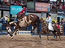 P3293128_1774970252_69cbe58c12b82