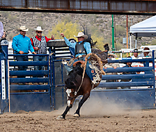 P3293135_1774970253_69cbe58d10b6d