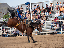 P3293145_1774970255_69cbe58f28995