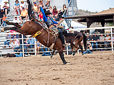 P3293150_1774970256_69cbe59010521