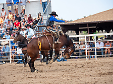 P3293152_1774970257_69cbe591010e5