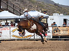 P3293159_1774970258_69cbe5920b4db