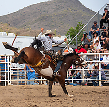 P3293164_1774970259_69cbe5931be3a