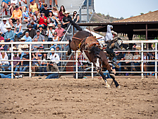 P3293169_1774970260_69cbe5940a744