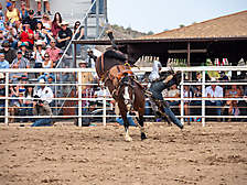 P3293170_1774970261_69cbe5950c7e4