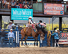 P3293175_1774970261_69cbe5959c138