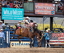 P3293176_1774970262_69cbe596a7eb2