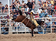 P3293193_1774970263_69cbe597b44f8