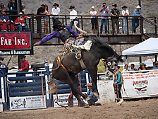 P3293202_1774970265_69cbe599a81f7